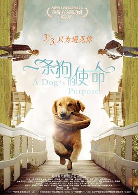 日本公与熄完整版